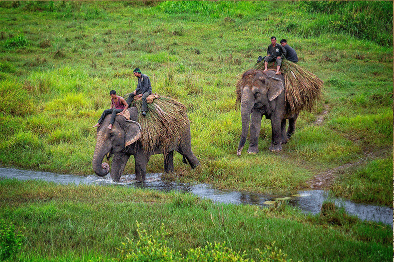 Kathmandu-Chitwan-Lumbini Tour