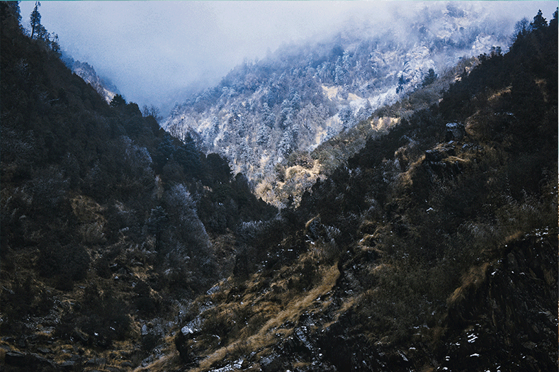 Sikkim Darjeeling Tour